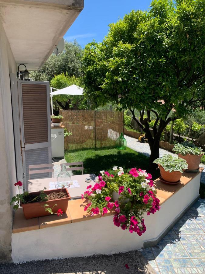B&B Blanda Маратея Экстерьер фото